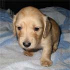 �~�j�`���A�E�_�b�N�X�E���X�E��