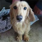 �����E�~�j�`���A�E�_�b�N�X