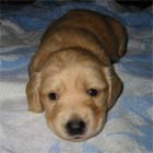 �~�j�`���A�E�_�b�N�X�E�I�X�E��