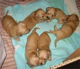 �~�j�`���A�E�_�b�N�X�q���B