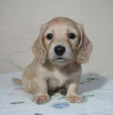 �~�j�`���A�E�_�b�N�X�E���X�E��