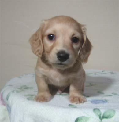 �~�j�`���A�E�_�b�N�X�E�I�X�E��