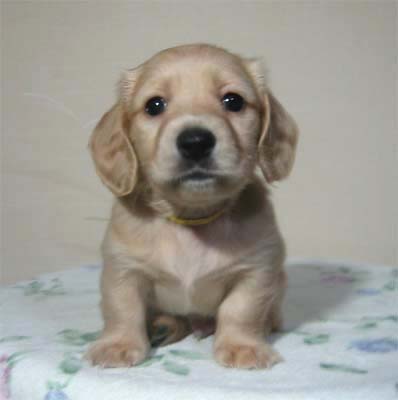 �~�j�`���A�E�_�b�N�X�E�I�X�E��