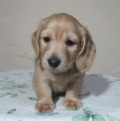 �~�j�`���A�E�_�b�N�X�E�I�X�E��