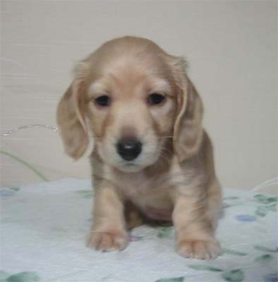 �~�j�`���A�E�_�b�N�X�E���X�E��