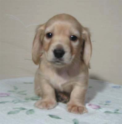 �~�j�`���A�E�_�b�N�X�E�I�X�E��