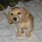 �~�j�`���A�E�_�b�N�X�E���X�E��