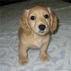 �~�j�`���A�E�_�b�N�X�E�I�X�E��