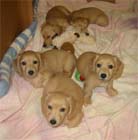 �~�j�`���A�E�_�b�N�X�q���B