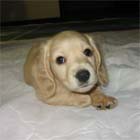 �~�j�`���A�E�_�b�N�X�E�I�X�E��