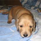 �~�j�`���A�E�_�b�N�X�E�I�X�E��