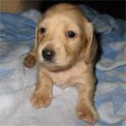 �~�j�`���A�E�_�b�N�X�E���X�E��