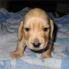 �~�j�`���A�E�_�b�N�X�E�I�X�E��