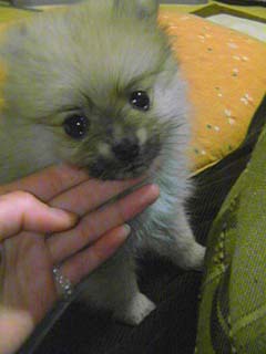 �|�����j�A��