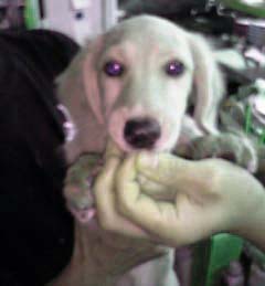 �_�b�N�X�EM�����O