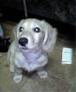 �_�b�N�X�EM�����O